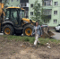 В Калуге на улице Максима Горького высадят молодые деревья - Телерадиокомпания Ника
