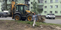 В Калуге на улице Максима Горького высадят молодые деревья - Телерадиокомпания Ника