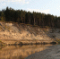лес - Novosti-Saratova.Ru