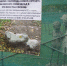 Фото:  () - ИА Город Новостей