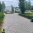 В Кирове провели стрижку живых изгородей - Kirov.Online