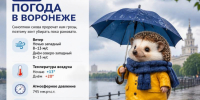 Погода продолжает устраивать воронежцам сюрпризы: прогноз погоды на три дня - Bloknot-Voronezh.Ru