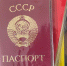 Вступил в силу приговор руководителям экстремистского движения - Shadr.Info