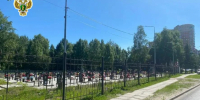 Жительница областного центра предстанет перед судом за осквернение воинского захоронения - Arh112.ru