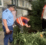 В доме на Московском шоссе затопило подвал - Ulpravda.Ru