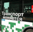 Фото: АОТВ - Амурское областное телевидение