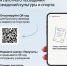 1 - МФЦ