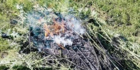 Ливенские полицейские боролись с зарослями конопли - Уездный город