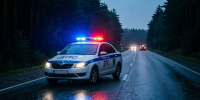 В Поронайске остановили пьяного водителя, который в прошлом устроил ДТП с пострадавшими - News.Astv.Ru