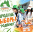 В загородном лагере «Родничок» прошли выборы, организованные по аналогии с настоящими избирательными процессами - Тавдинский городской округ