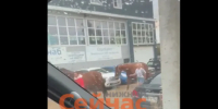 Три пони и три лошади сгорели в Нижнем Новгороде - ИА Нижний сейчас