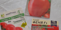 Моя помидорная дуэль: сладкая «Танюшка» против сочной «Фени»! - Газета В 24 часа