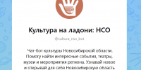 О культурных событиях Новосибирска теперь можно узнать в чат-боте - Газета Навигатор