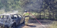 В Шигонском районе у леса горел автомобиль - Волга Ньюс