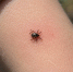 ChatGPT Image 30 июл. 2026 г., 09_51_57 - NeruLife.Ru