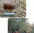 Screenshot_20260730_114655_MAX - Сетевое издание Арбуз