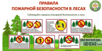 Безопасность лесов Кубани под строгим контролем: в Краснодарском крае вновь ограничивают посещение лесных массивов - Министерство природных ресурсов