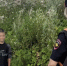 JPG Файл - ГУ МВД Свердловской области