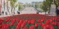 В Орле в День города споёт Цой - OrelGrad.Ru