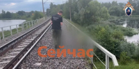 Велосипедиста затянуло под поезд в Нижегородской области - ИА Нижний сейчас