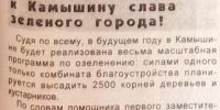 Можжевельники и дубы: масштабы озеленения Камышина 25 лет назад потрясают - Инфокам