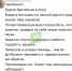 «Подругу укусил паук-каракурт, теперь лежит под капельницами» - 31TV.RU