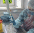 Усольская ветлаборатория вдвое увеличила количество ПЦР-исследований - Служба ветеринарии