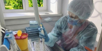 Усольская ветлаборатория вдвое увеличила количество ПЦР-исследований - Служба ветеринарии