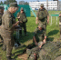 Группа военнослужащих на открытом пространстве: один боец лежит на земле, второй склонился над ним, оказывая первую помощь, остальные наблюдают; на заднем плане — здания и спортсооружения. Автор фото Евгений Мурашов, Изображение. - Правительство Челябинской области