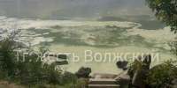 Едкая пена покрыла Волгу в Волжском: экологическая катастрофа из-за сброса нечистот - Блокнот Волжского
