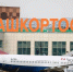 Nordwind Airlines получила предупреждение за овербукинг на рейсе из Уфы - ProUral.Info