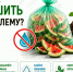 Волгодонск, у нас проблема: откуда на асфальте у мусорок берётся эта едкая арбузная жижа (и как всё исправить) - Bloknot-Volgodonsk.Ru