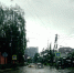 «Беда бедовая»: последствия ливня показали на фото в Воронеже - Bloknot-Voronezh.Ru