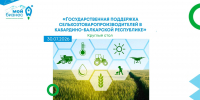 Круглый стол: господдержка сельхозпроизводителей КБР - Минэкономразвития КБР