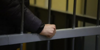 Суд заключил обвиняемого в издевательстве над голубем под стражу до сентября - ГАZЕТА.СПб
