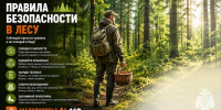 Правила безопасности в лесу - Юргинский муниципальный округ