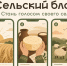 Медиацентр «Дом журналистики» запускает бесплатную образовательную программу «Сельский блогер» для жителей сельских территорий Кубани - Администрация Ейского района