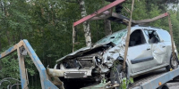 В Петрозаводске пьяный водитель сломал кучу деревьев - Gubdaily.Ru