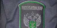 Северян чуть не накормили опасными консервами - SeverPost.ru