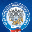 ФНС: Данные 3,4 млн россиян по семейной налоговой выплате направлены в Соцфонд - Сетевое издание Север