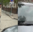 Жительница Новосибирска сняла на видео нападавшего / Фото: предоставлено "КП-Новосибирск" - ИА Амител