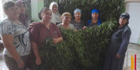 Грибановские волонтеры отправили в зону СВО 600 маскировочных сетей - РИА Воронеж