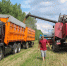 Битва за урожай - Газета Наше Слово