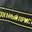 Судебные приставы Башкирии выдворили из России более 600 нелегалов - Башинформ