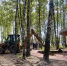 gnxn2scgnnf0dssel9t047oqdpmnxy3g - ЗА Новомосковск