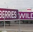 Пожар в логоцентре Wildberries в Пензе локализован - M24.Ru