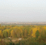 Осень 2026 года может стать самой необычной за 250 лет - ГАZЕТА.СПб