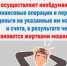 Томичка, желая приобрести пушистого друга для своей дочери, потеряла более 16 тысяч рублей - Департамент потребительского рынка
