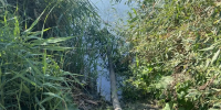 Жительница Саранска приняла водовоз за ассенизаторскую машину и позвонила в полицию - Info-Rm.Com
