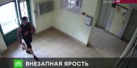 Предлагаем Вашему вниманию сюжет программы "ЧП" телеканала НТВ О расследовании уголовного дела о нападении курьера на женщину-консьержа в Краснодаре - Следственный комитет